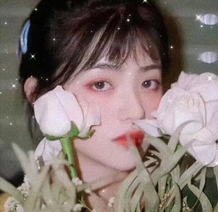 少壮屠龙阵